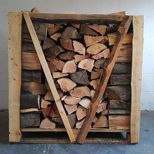 Brennholz, Kaminholz Buche kammergetrocknet auf Palette 1,0 Raummeter